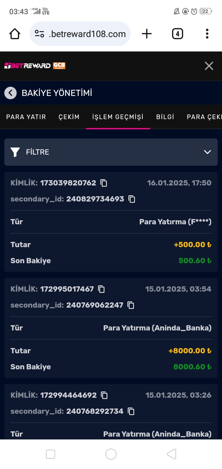 Screenshot_2025-01-17-03-43-11-11.jpg
