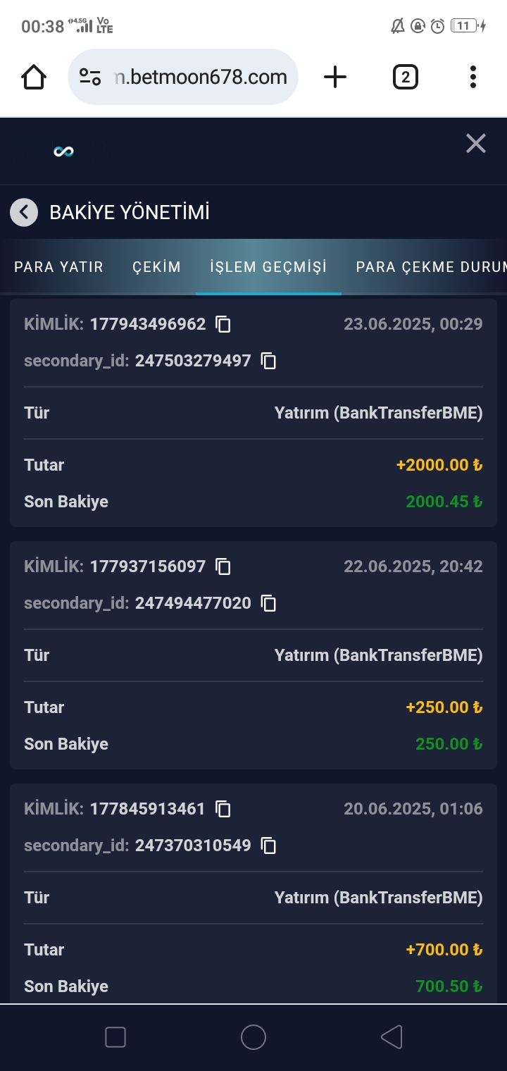 Screenshot_2025-06-30-00-38-20-68.jpg