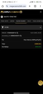Screenshot_2025-01-16-23-38-44-758_com.android.chrome.jpg