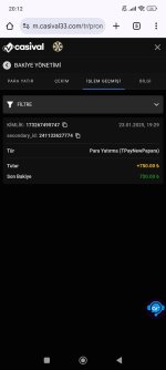 Screenshot_2025-01-23-20-12-24-981_com.android.chrome.jpg