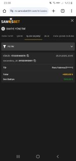 Screenshot_20250125-233828_Chrome.jpg