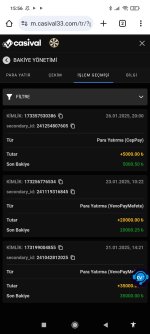 Screenshot_2025-01-29-15-56-46-515_com.android.chrome.jpg
