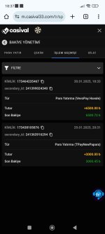Screenshot_2025-01-30-18-37-15-072_com.android.chrome.jpg