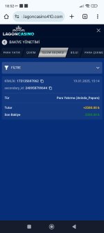Screenshot_2025-01-30-18-52-47-583_com.android.chrome.jpg