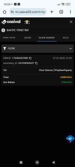 Screenshot_2025-01-30-18-53-35-559_com.android.chrome.jpg