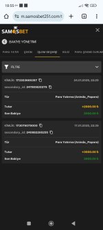 Screenshot_2025-01-30-18-55-36-553_com.android.chrome.jpg
