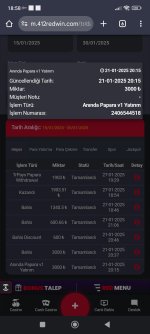 Screenshot_2025-01-30-18-58-18-324_com.android.chrome.jpg