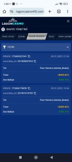 Screenshot_2025-01-31-01-03-53-965_com.android.chrome.jpg