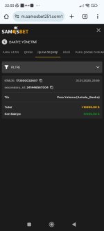 Screenshot_2025-01-31-22-55-03-378_com.android.chrome.jpg