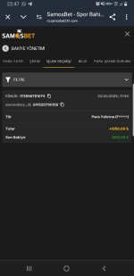 Screenshot_20250202-224745_Chrome.jpg