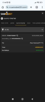 Screenshot_2025-02-03-17-44-32-799_com.android.chrome.jpg