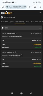 Screenshot_2025-02-04-15-29-32-655_com.android.chrome.jpg