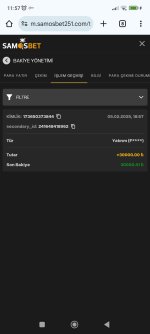 Screenshot_2025-02-06-11-57-47-527_com.android.chrome.jpg