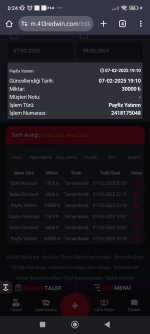 Screenshot_2025-02-08-00-24-58-896_com.android.chrome.jpg