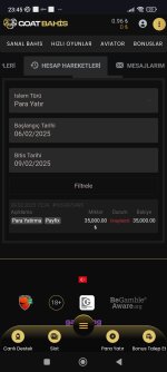 Screenshot_2025-02-09-23-45-03-038_com.android.chrome.jpg