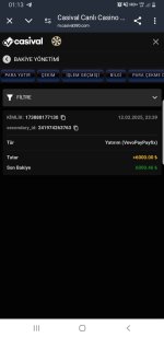 Screenshot_20250213-011354_Chrome.jpg