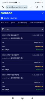 Screenshot_2025-02-13-21-55-25-958_com.android.chrome.jpg