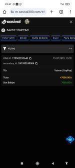 Screenshot_2025-02-13-22-47-12-070_com.android.chrome.jpg