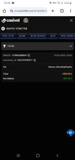 Screenshot_20250215-230649_Chrome.jpg