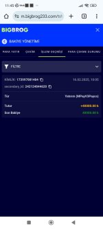 Screenshot_2025-02-16-11-45-04-382_com.android.chrome.jpg