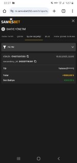 Screenshot_20250218-222729_Chrome.jpg