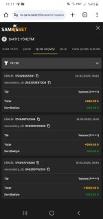 Screenshot_20250220-191101_Chrome.jpg