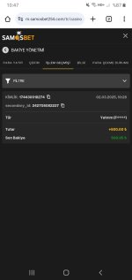 Screenshot_20250302-104741_Chrome.jpg