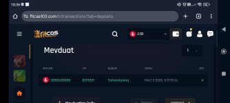 Screenshot_2025-03-05-18-36-20-230_com.android.chrome.jpg