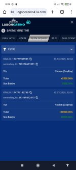 Screenshot_2025-03-13-03-23-02-515_com.android.chrome.jpg