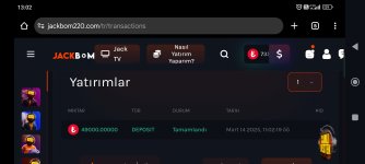 Screenshot_2025-03-14-13-02-41-788_com.android.chrome.jpg