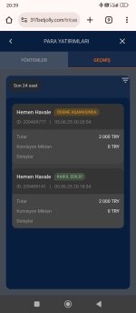Screenshot_2025-06-05-20-39-16-485_com.android.chrome.jpg