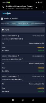 Screenshot_2025-06-11-21-00-37-924_org.telegram.messenger.jpg