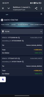 Screenshot_20250616_022317_com_android_chrome_CustomTabActivity.jpg