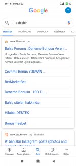 Screenshot_2020-12-08-19-14-15-947_com.google.android.googlequicksearchbox.jpg